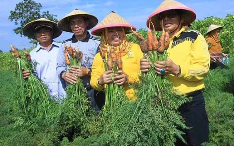 Bupati Kobar Dorong Petani Kembangkan Sayuran untuk Penuhi Kebutuhan Daerah