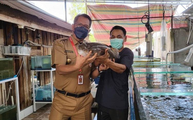 Dokumentasi - Kadislutkan Kalteng Darliansjah (kiri) saat mengunjungi UKM ekspor kelautan dan perikanan di Palangka Raya, belum lama ini. (ANTARA/HO-Dislutkan Kalteng)