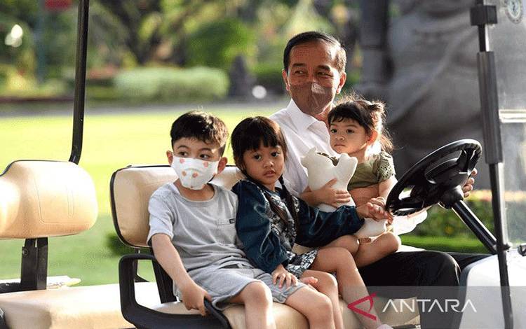 Jokowi Dapat Bentuk Dewan Penasihat Otorita IKN
