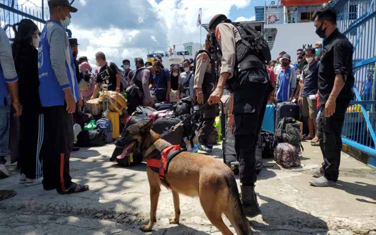 Antisipasi Narkoba dan Bahan Berbahaya, Polda Kalteng Bawa Anjing Pelacak Periksa Bawaan Penumpang Kapal