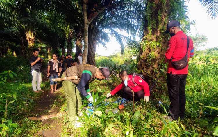 Buaya Muncul di Bekas Penggalian Bata di Desa Telaga Baru