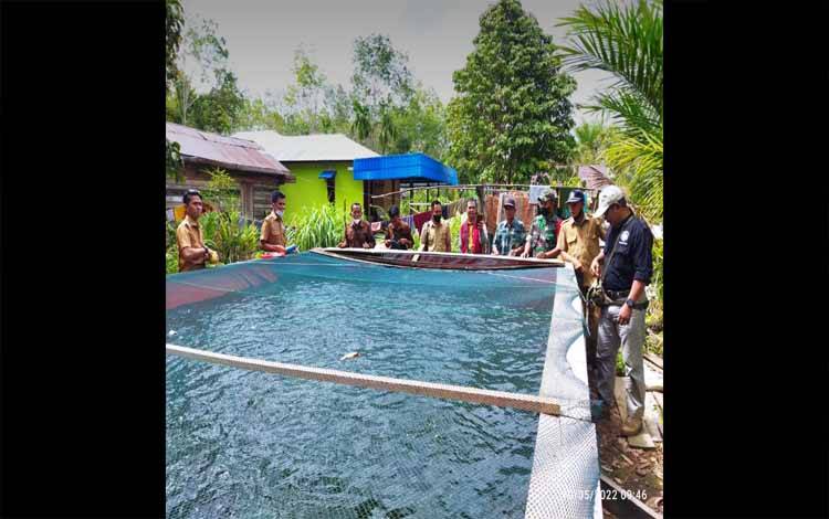 Camat Mentaya Hilir Utara Apresiasi Program Ketahanan Pangan Desa Bagendang Hulu Melalui Budidaya Ikan