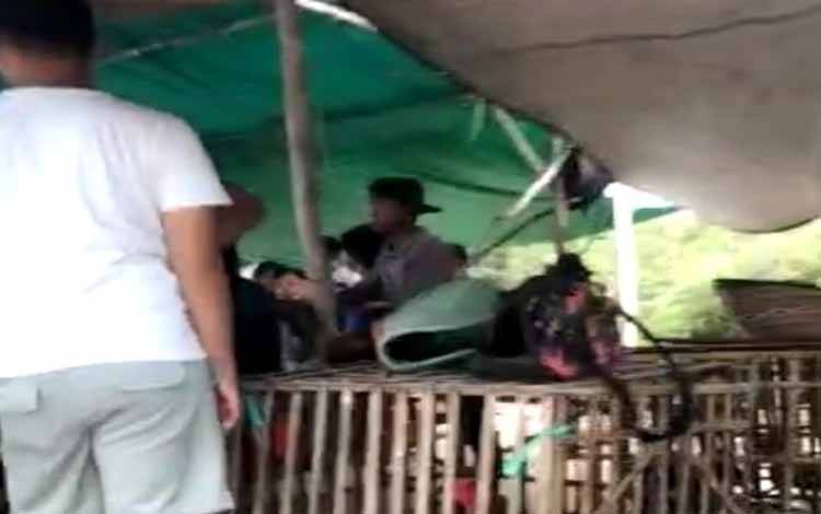 2 Arena Judi Sabung Ayam Rutin Tiap Pekan Dilakukan