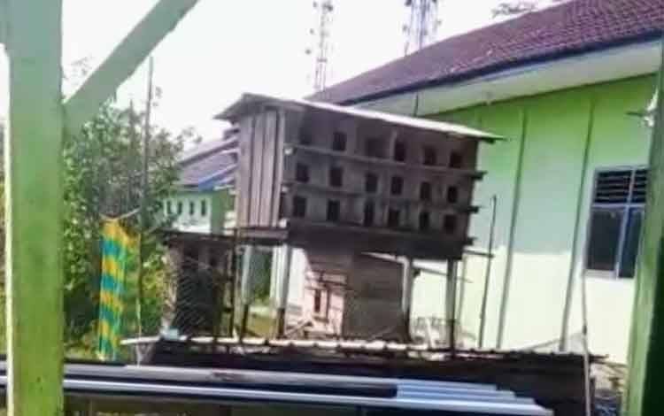 Pelajar Jarang Masuk saat Pandemi, Lingkungan Sekolah Dibangun Kandang Burung