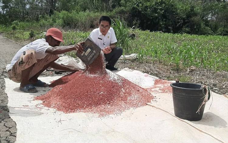 Kepala Dinsos PMD: Tahapan Pilkades Serentak di Barito Utara Telah Dilalui