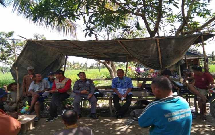 Tanaman Padi Warga di Enam Desa Kecamatan Kapuas Kuala Terserang Hama Tungro