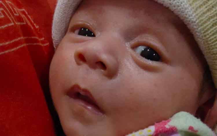 Banyak Warga Berminat Adopsi Bayi yang Ditemukan di Desa Pasir Panjang di Depan Rumah, Ini Prosedurnya