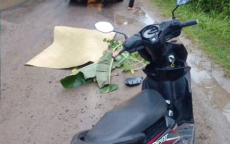 Ketua Flobamora Barito Timur Sayangkan Kasus Tabrak Lari yang Sering Terjadi di Tampa
