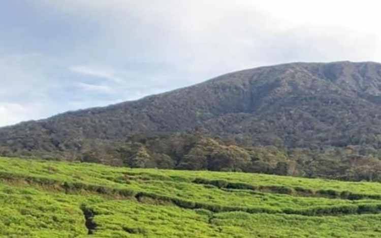 Gunung Api Dempo, Pagaralam, Sumatera Selatan