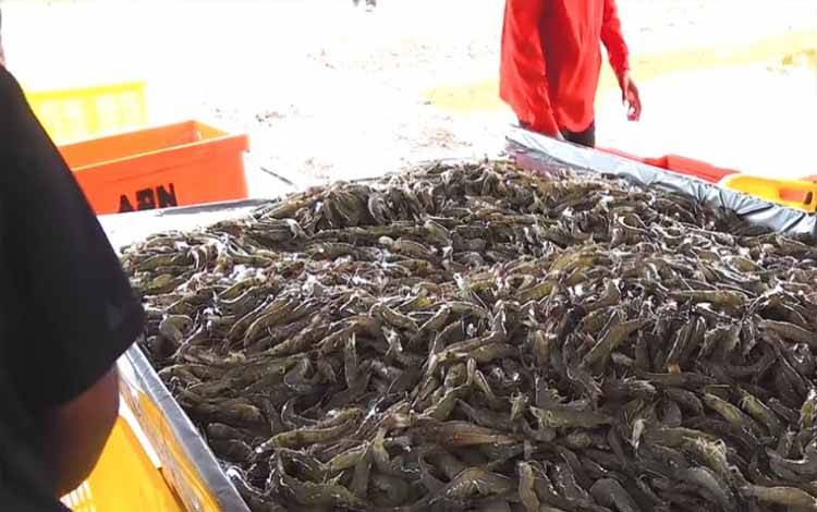 Pengembangan Kawasan Wisata Bahari Kalteng Harus Diperkuat Kualitas