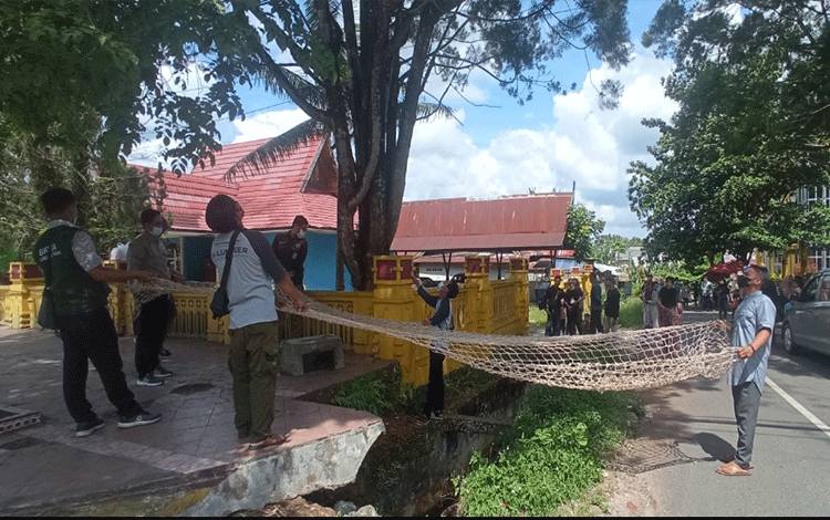 Petugas BKSDA SKW II Pangkalan Bun sedang berupaya mengevakuasi seekor lutung di depan kantor PWI Kobar, Kamis, 2 Juni 2022.