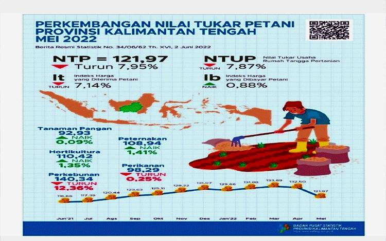 Nilai Tukar Petani Gabungan Kalteng Mei 2022 Turun 7,95