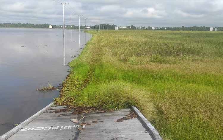 Banjir Surut, Warga Muara Palantau Bersihkan Jembatan Kayu Sepanjang 2.200 Meter
