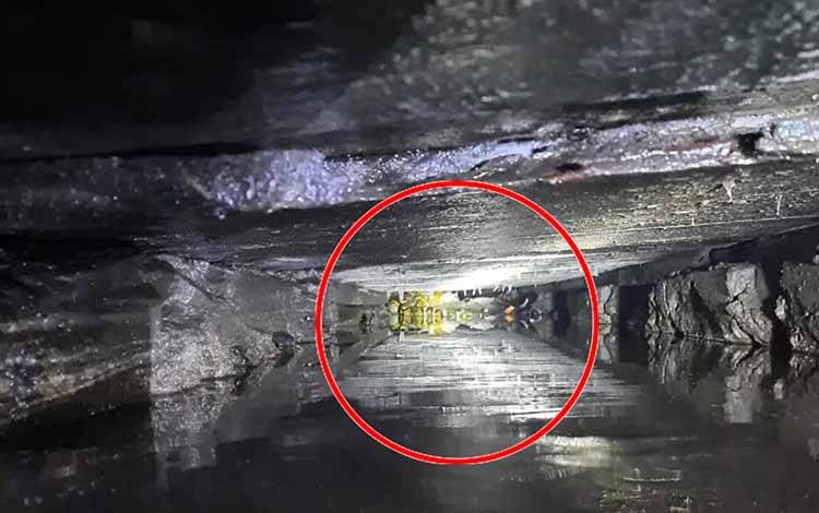 Asyik Santai, Sesuatu Tiba-tiba Bergerak Menyentuh Kaki Pria ini