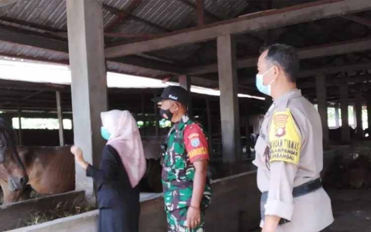 Pemeriksaan kesehatan hewan di RPH Kalampangan