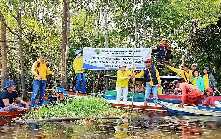 Dinas Perikanan Barito Timur Pertahankan Habitat Ikan dengan Rumput Gelagah