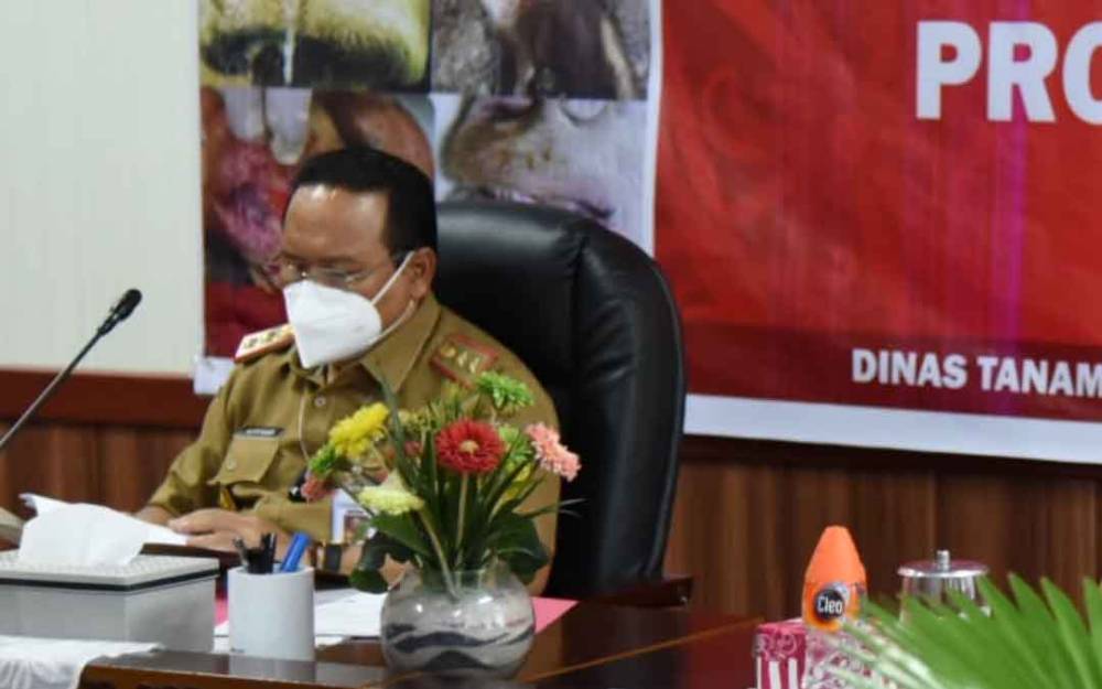 Sekda Kalteng Sampaikan Langkah Strategis Menanggulangi Wabah PMK