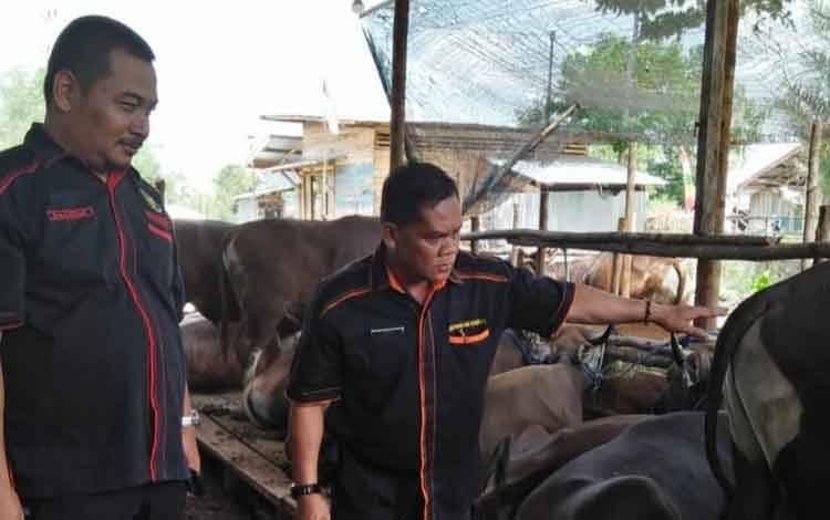 Waspada PMK, Warga Diimbau Teliti saat Memilih Hewan Kurban