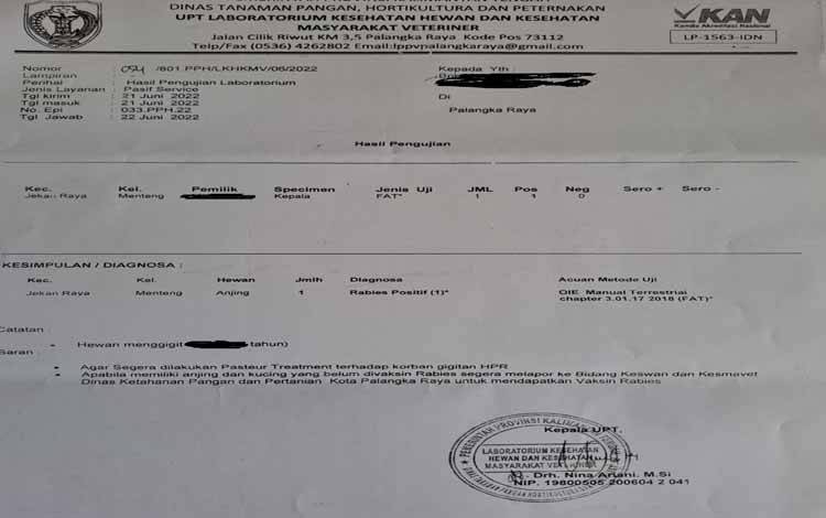 Terjadi Kasus Gigitan Anjing Rabies di Palangka Raya