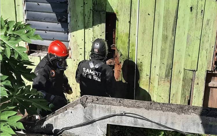 Pekerja Kantor di Sampit Diserang Tawon, Petugas Terpaksa Bongkar Dinding
