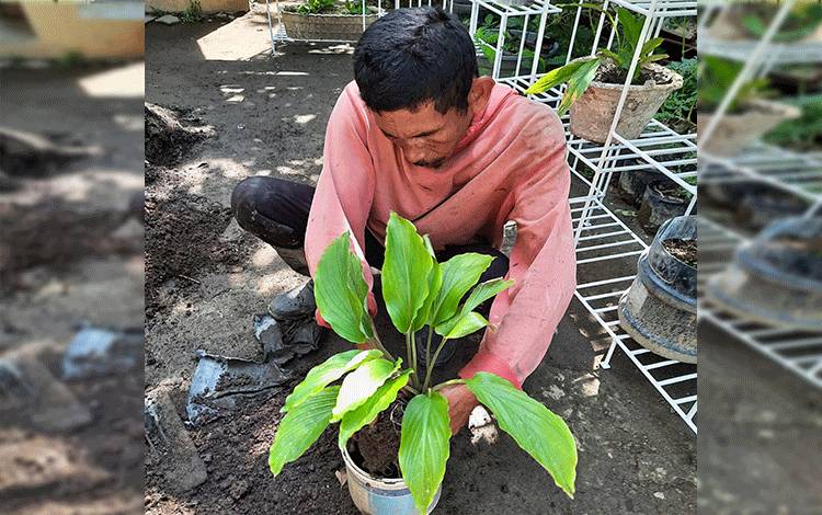 Masyarakat kelompok tani Pondok Miri Asri memanfaatkan sampah plastik daur ulang dalam menanam tumbuhan obat.