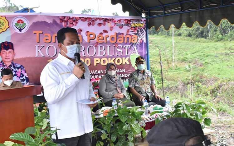 Bupati Lamandau Hendra Lesmana beserta jajaran saat berada di areal pembibitan kopi milik UPT Desa Kahingai, Belantikan Raya.