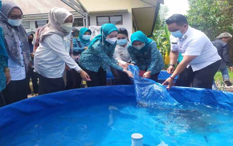 Ketua TP PKK Palangka Raya Panen Ikan Lele