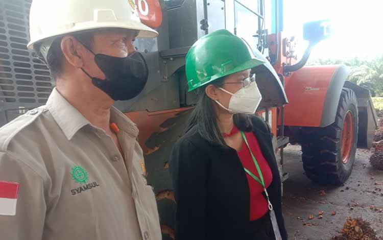 Triwulan Pertama PT SSMS Tbk Raih Laba Bersih Rp996 Miliar