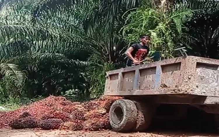 Volume Penjualan CPO SSMS Naik Menjadi 126 Ribu Metrik Ton