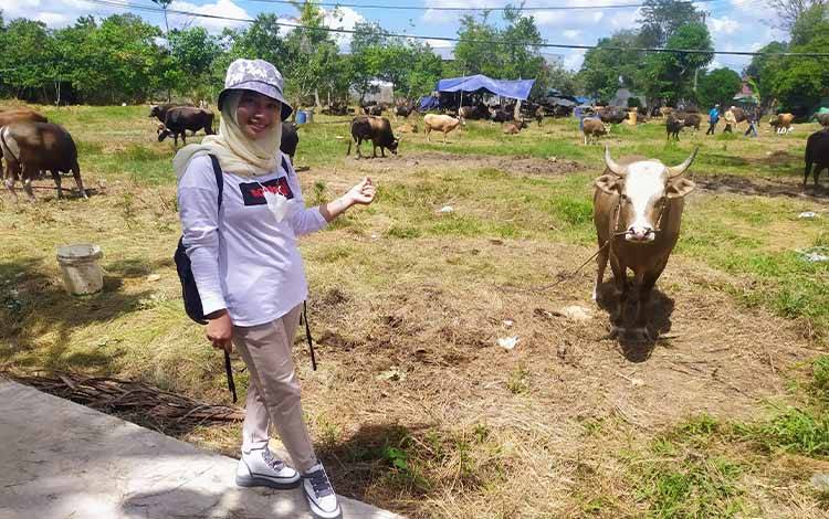 Salah seorang warga saat survei harga sapi di salah satu lapak penjualan hewan kurban di Jalan HM Arsyad Sampit , Kotawaringin Timur.
