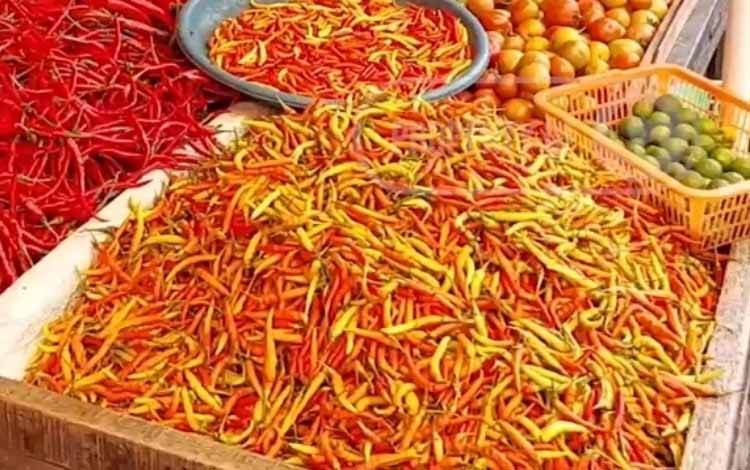 Harga Cabai Rawit Merah di Kobar Turun