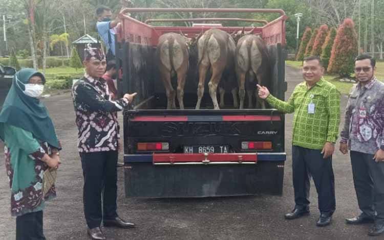 Bank Ini Serahkan Bantuan Sapi Kurban untuk Pemkab Katingan