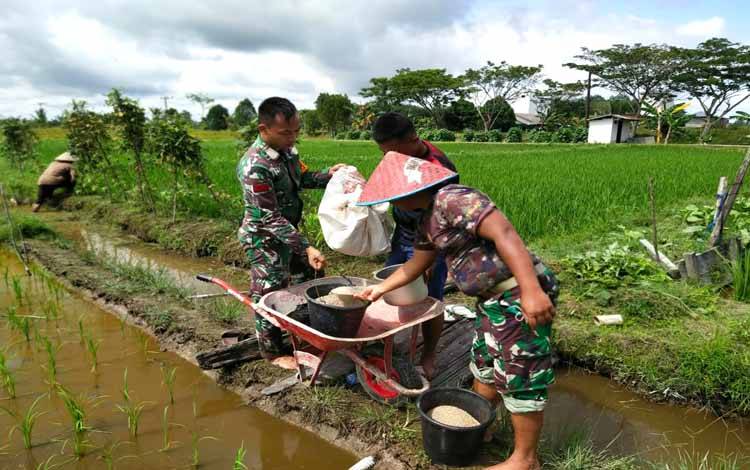 Kodim Muara Teweh Buka Lahan Demplot Pertanian Jagung