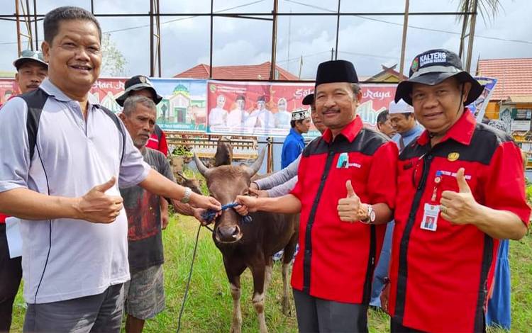 Seruyan Terima Bantuan 60 Sapi Kurban