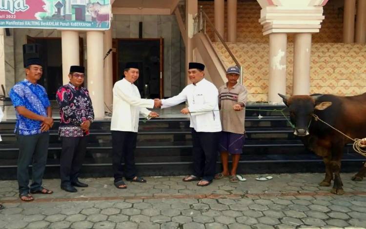 Barito Utara Dapat Jatah 61 Ekor Sapi Kurban dari Pemprov Kalteng