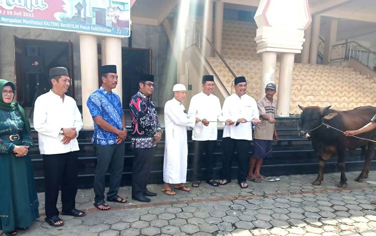Bupati Barito Utara, Nadalsyah menyerahkan sapi kurban dari Pemprov Kalteng kepada salah satu pengurus masjid dalam kota Muara Teweh, pengurus Mesjid Jami Abdurrahim, dan undangan lainnya, dihalaman Masjid Jami Abdurrahim, Jumat 8 Juli 2022. (foto: Dhani)