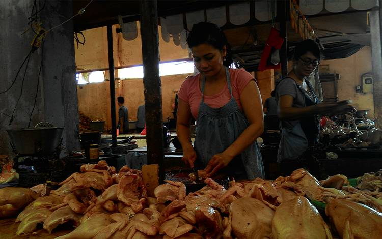 Harga Daging Ayam Ras di Kobar Rp42.000