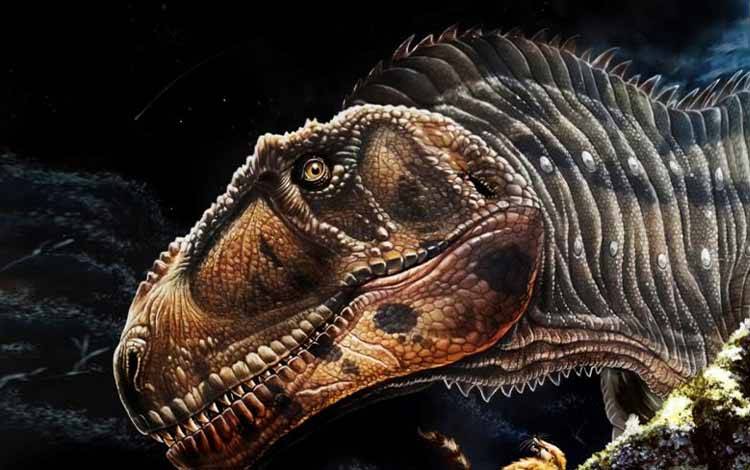 Ilustrasi berdasarkan rekonstruksi fosil tengkorak dinosaurus Meraxes yang ditemukan di Argentina. (via REUTERS/JORGE A. GONZALEZ)