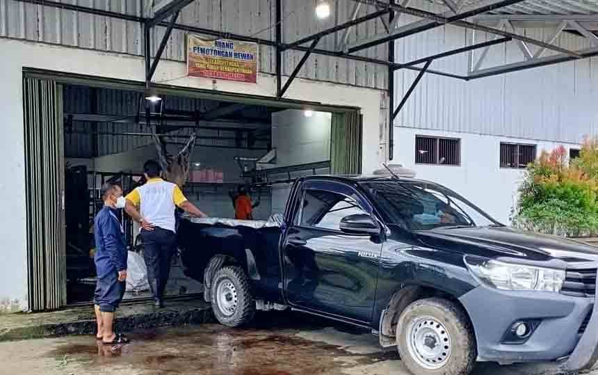Permintaan Pemotongan Hewan Kurban di RPH Kalampangan Menurun