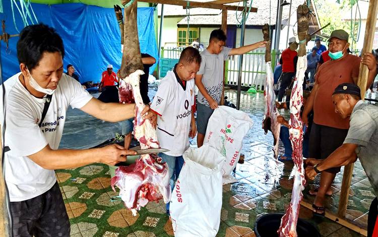 Panitia Masjid Al Muthmainnah Dermaga Bagikan 10 Ekor Sapi Kurban