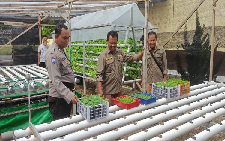 Anggota Polsek Pangkalan Banteng bersama pegawai Dinas DKP saat berada di tempat pengembangan sayuran di samping Polsek Pangkalan Banteng, Selasa, 17 Juli 2022. (FOTO POLSEK PANGKALAN BANTENG)