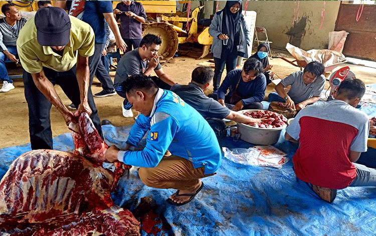 Dinas PUPR Barito Utara Bagikan Daging Kurban