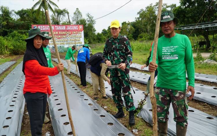 Anggota DPRD Kapuas Apresiasi Kodim Tanam Jagung Manfaatkan Lahan Tidur Dukung Ketahanan Pangan