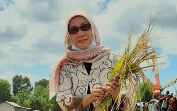 Dewan Minta Pemko Palangka Raya Evaluasi Tanggul Kanal di Kecamatan Sabangau