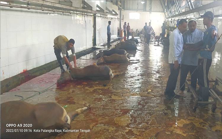 RPH Palangka Raya Tidak Tarik Retribusi Pemotongan Hewan Kurban