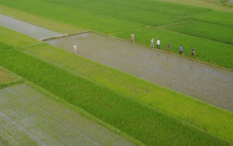 Reforma Agraria Berikan Banyak Manfaat untuk Masyarakat
