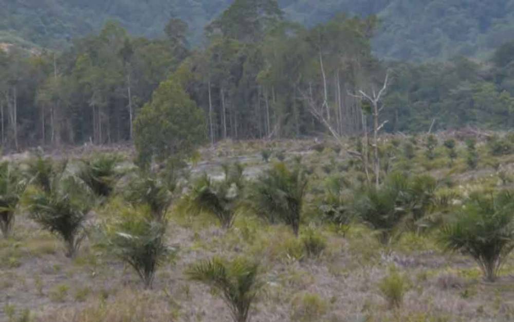 APBD Dipastikan Dorong Kemandirian Daerah