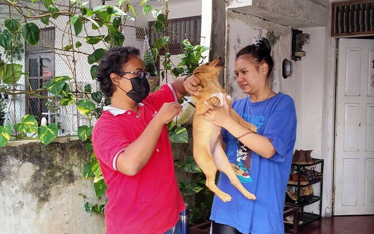 Kepala Puskeswan Akui Masih Banyak Hewan Penular Rabies Terlantar di Palangka Raya