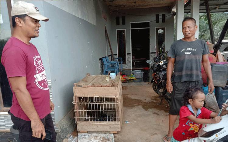 Sempat Memelihara, Warga di Mentaya Hulu Bersedia Menyerahkan Anak Orangutan?