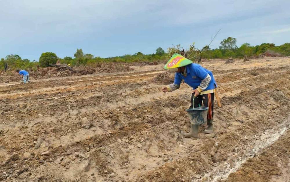 KDPDTT RI Setujui 15 KK Ditempatkan di Transmigrasi Desa Pulau Nibung